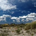 In 25001 * רוסולינה מארה
