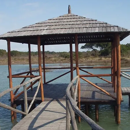 In 25001 Apartment Rosolina Mare